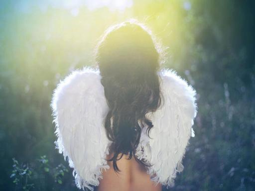 Angel wings in Sunbeams