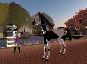 Talking Horse Mr Ed_001