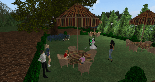 Tangle Welcomes Sun_001